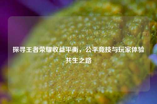 探寻王者荣耀收益平衡,公平竞技与玩家体验共生之路