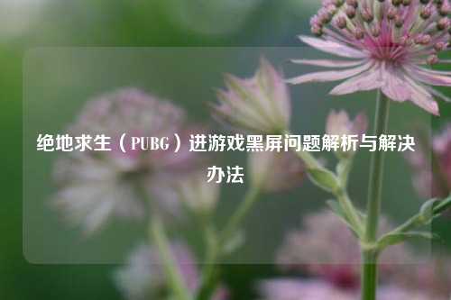 绝地求生(PUBG)进游戏黑屏问题解析与解决办法