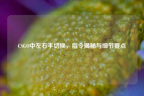 CSGO中左右手切换,指令揭秘与细节要点