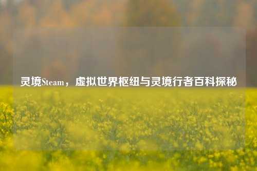 灵境Steam,虚拟世界枢纽与灵境行者百科探秘