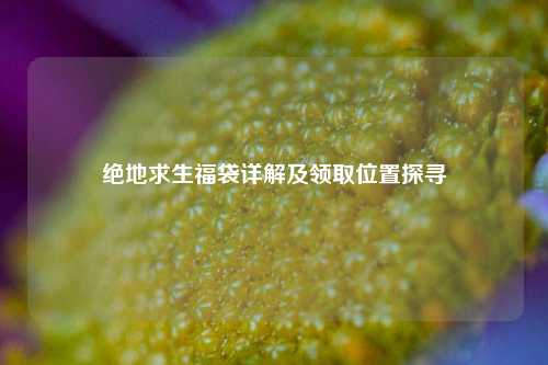 绝地求生福袋详解及领取位置探寻