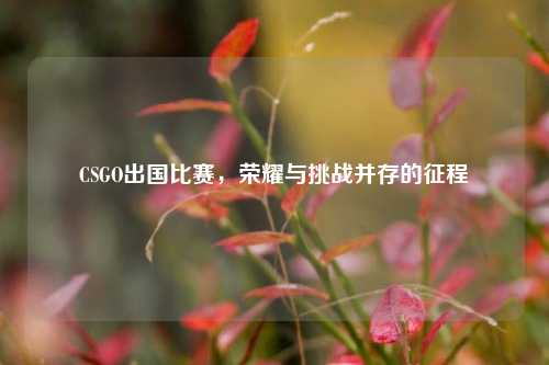 CSGO出国比赛,荣耀与挑战并存的征程