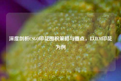 深度剖析CSGO印花囤积策略与要点,以IEM印花为例