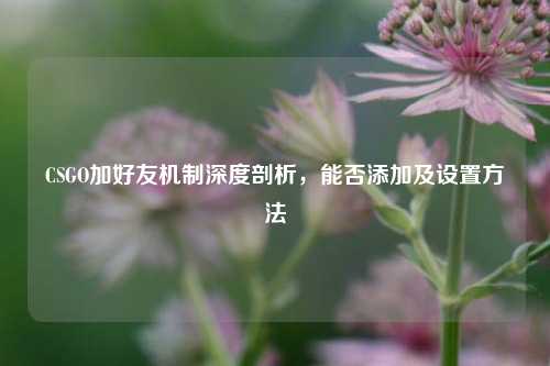 CSGO加好友机制深度剖析,能否添加及设置 ***
