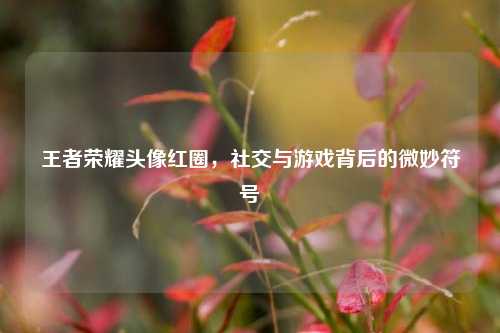 王者荣耀头像红圈,社交与游戏背后的微妙符号