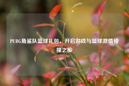 PUBG角鲨队篮球礼包,开启游戏与篮球***碰撞之旅