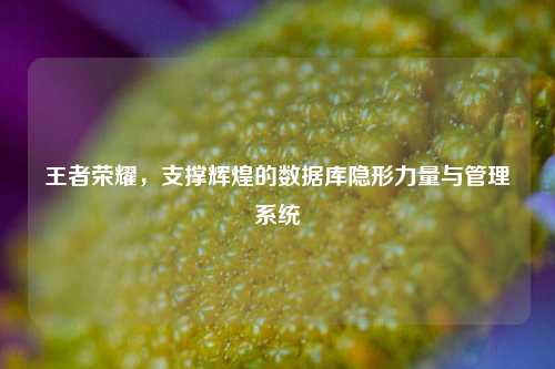王者荣耀,支撑辉煌的数据库隐形力量与管理系统