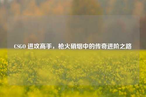 CSGO 进攻高手,枪火硝烟中的传奇进阶之路