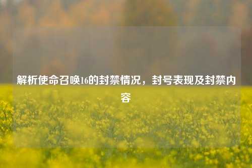 解析使命召唤16的封禁情况,封号表现及封禁内容