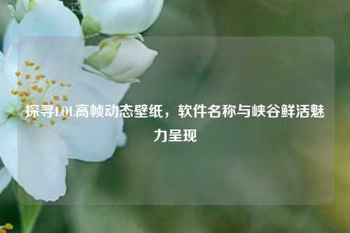 探寻LOL高帧动态壁纸,软件名称与峡谷鲜活魅力呈现
