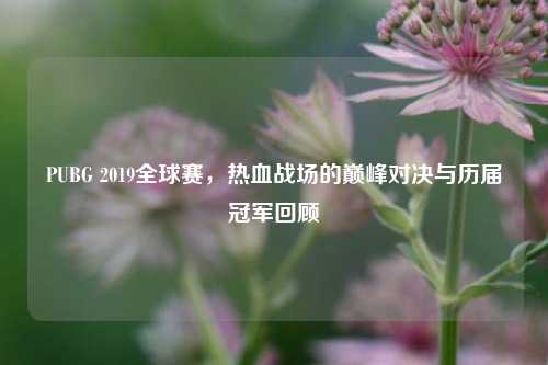 PUBG 2019全球赛,热血战场的巅峰对决与历届冠军回顾