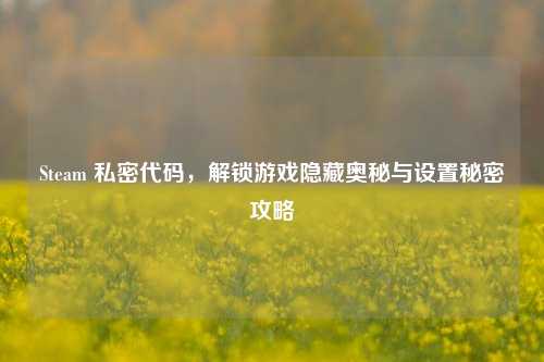 Steam 私密代码,解锁游戏隐藏奥秘与设置秘密攻略