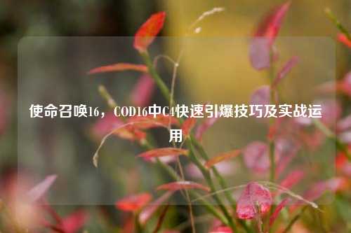 使命召唤16,COD16中C4快速引爆技巧及实战运用