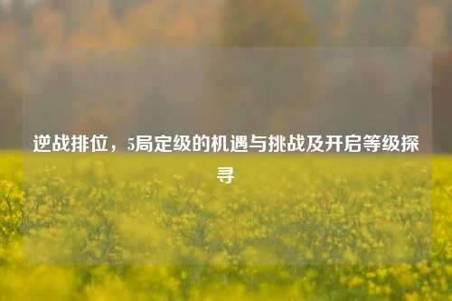 逆战排位,5局定级的机遇与挑战及开启等级探寻