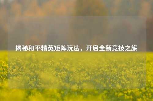 揭秘和平精英矩阵玩法,开启全新竞技之旅