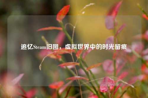 追忆Steam旧图,虚拟世界中的时光留痕
