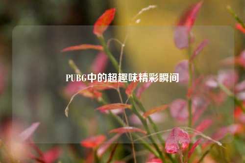 PUBG中的超趣味精彩瞬间