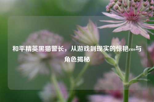 和平精英黑猫警长,从游戏到现实的惊艳cos与角色揭秘