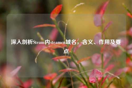 深入剖析Steam内steamcn域名,含义、作用及要点