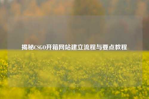 揭秘CSGO开箱网站建立流程与要点教程
