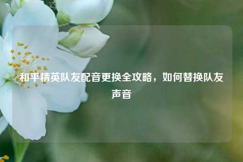 和平精英队友配音更换全攻略,如何替换队友声音