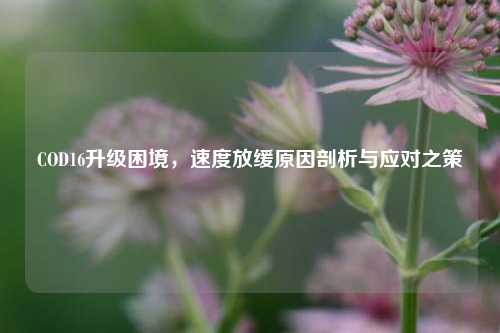 COD16升级困境,速度放缓原因剖析与应对之策