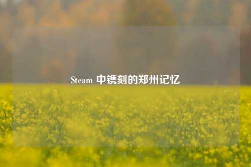 Steam 中镌刻的郑州记忆