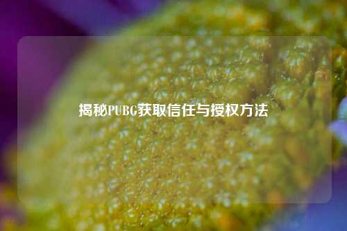 揭秘PUBG获取信任与授权 ***