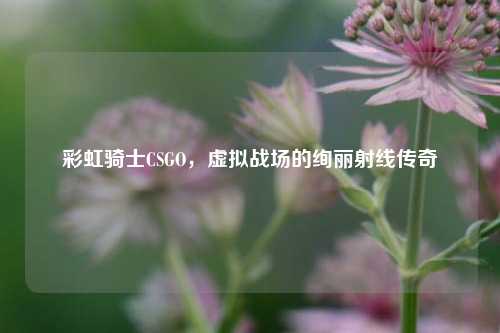 彩虹骑士CSGO,虚拟战场的绚丽射线传奇