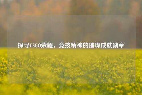 探寻CSGO荣耀,竞技精神的璀璨成就勋章