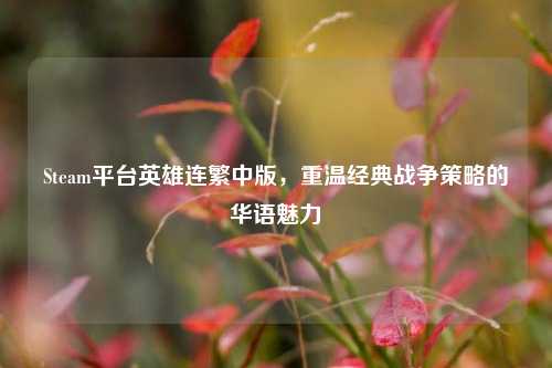 Steam平台英雄连繁中版,重温经典战争策略的华语魅力
