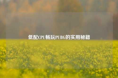 低配CPU畅玩PUBG的实用秘籍