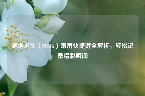 绝地求生(PUBG)录屏快捷键全解析,轻松记录精彩瞬间