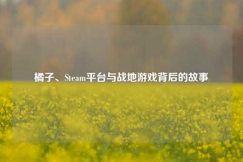 橘子、Steam平台与战地游戏背后的故事