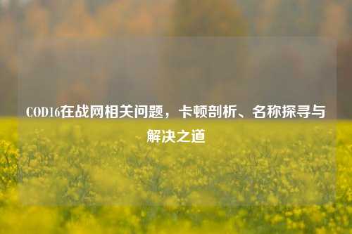 COD16在战网相关问题,卡顿剖析、名称探寻与解决之道