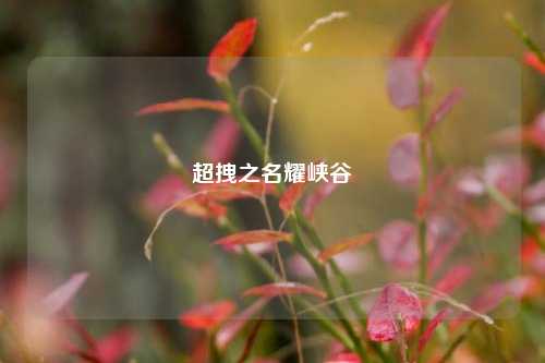超拽之名耀峡谷