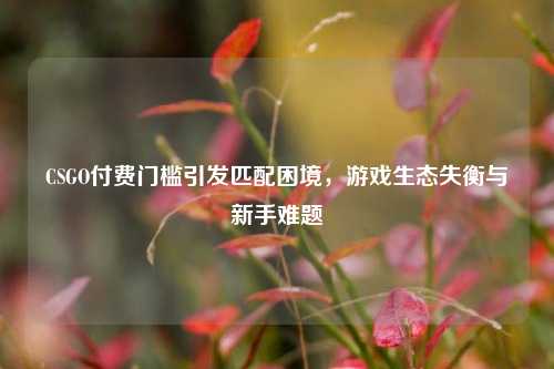 CSGO付费门槛引发匹配困境,游戏生态失衡与新手难题
