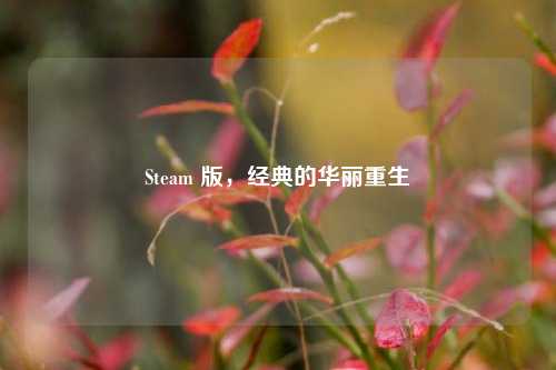 Steam 版,经典的华丽重生