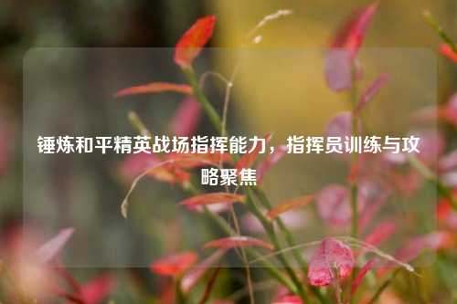 锤炼和平精英战场指挥能力,指挥员训练与攻略聚焦