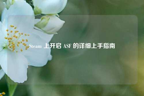 Steam 上开启 ASF 的详细上手指南