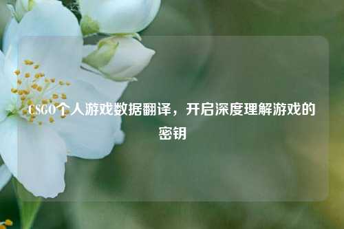 CSGO个人游戏数据翻译,开启深度理解游戏的密钥