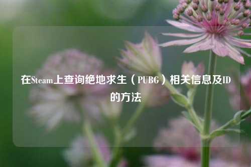 在Steam上查询绝地求生(PUBG)相关信息及ID的 ***