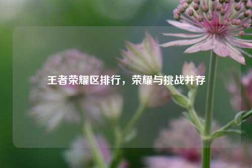 王者荣耀区排行,荣耀与挑战并存