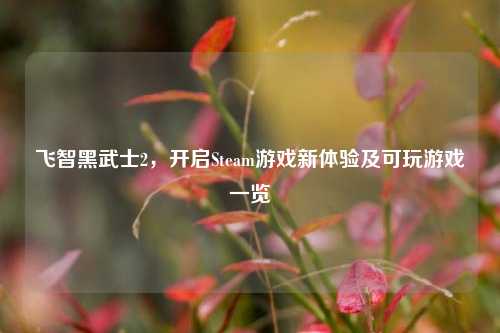 飞智黑武士2,开启Steam游戏新体验及可玩游戏一览