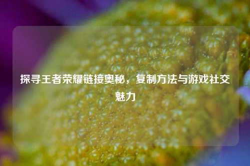 探寻王者荣耀链接奥秘,*** *** 与游戏社交魅力