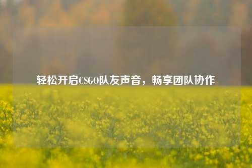 轻松开启CSGO队友声音,畅享团队协作