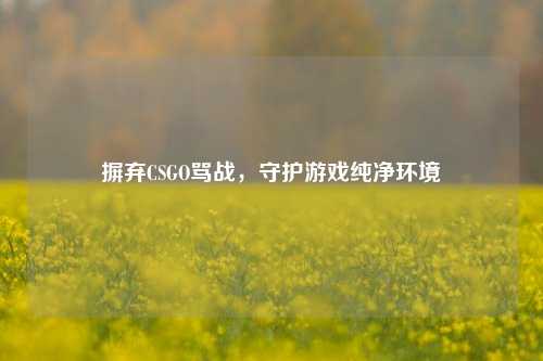 摒弃CSGO骂战,守护游戏纯净环境