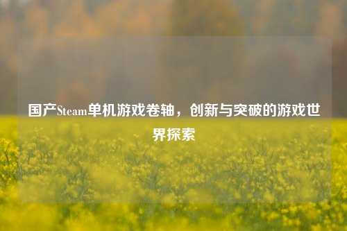 国产Steam单机游戏卷轴,创新与突破的游戏世界探索