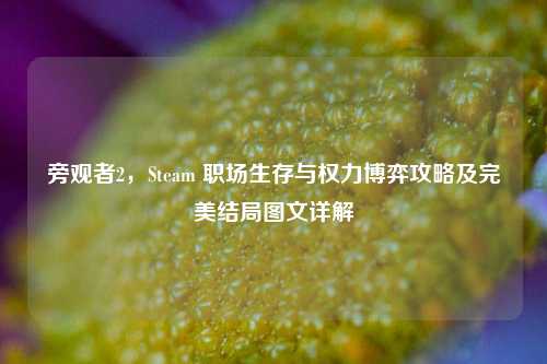 旁观者2,Steam 职场生存与权力博弈攻略及完美结局图文详解