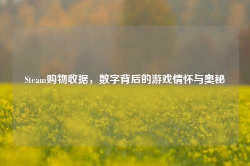 Steam购物收据,数字背后的游戏情怀与奥秘